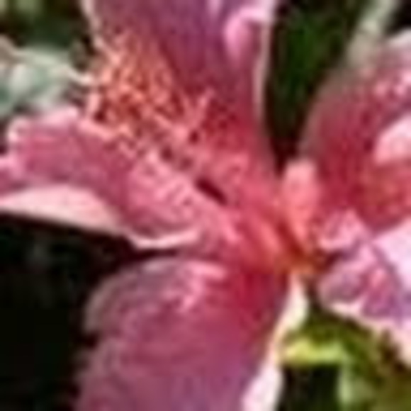 Meet your Posher, Marn - Picture 1 of 1